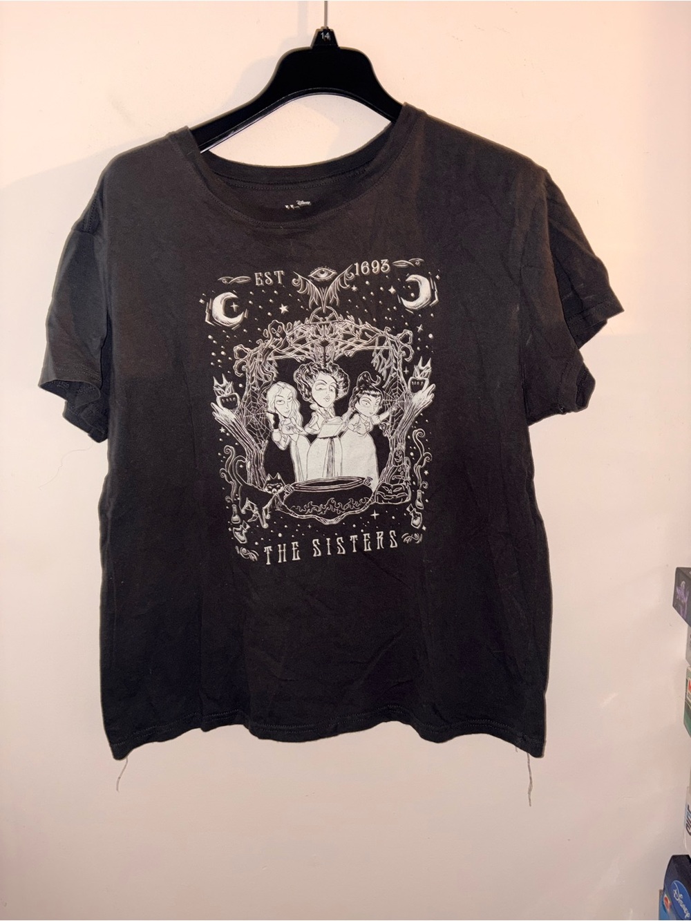 Disney Hocus Pocus size XL